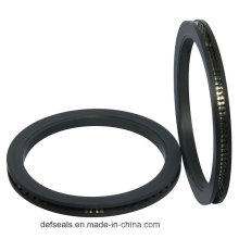 Outside Spring Energized Seals with V Ring